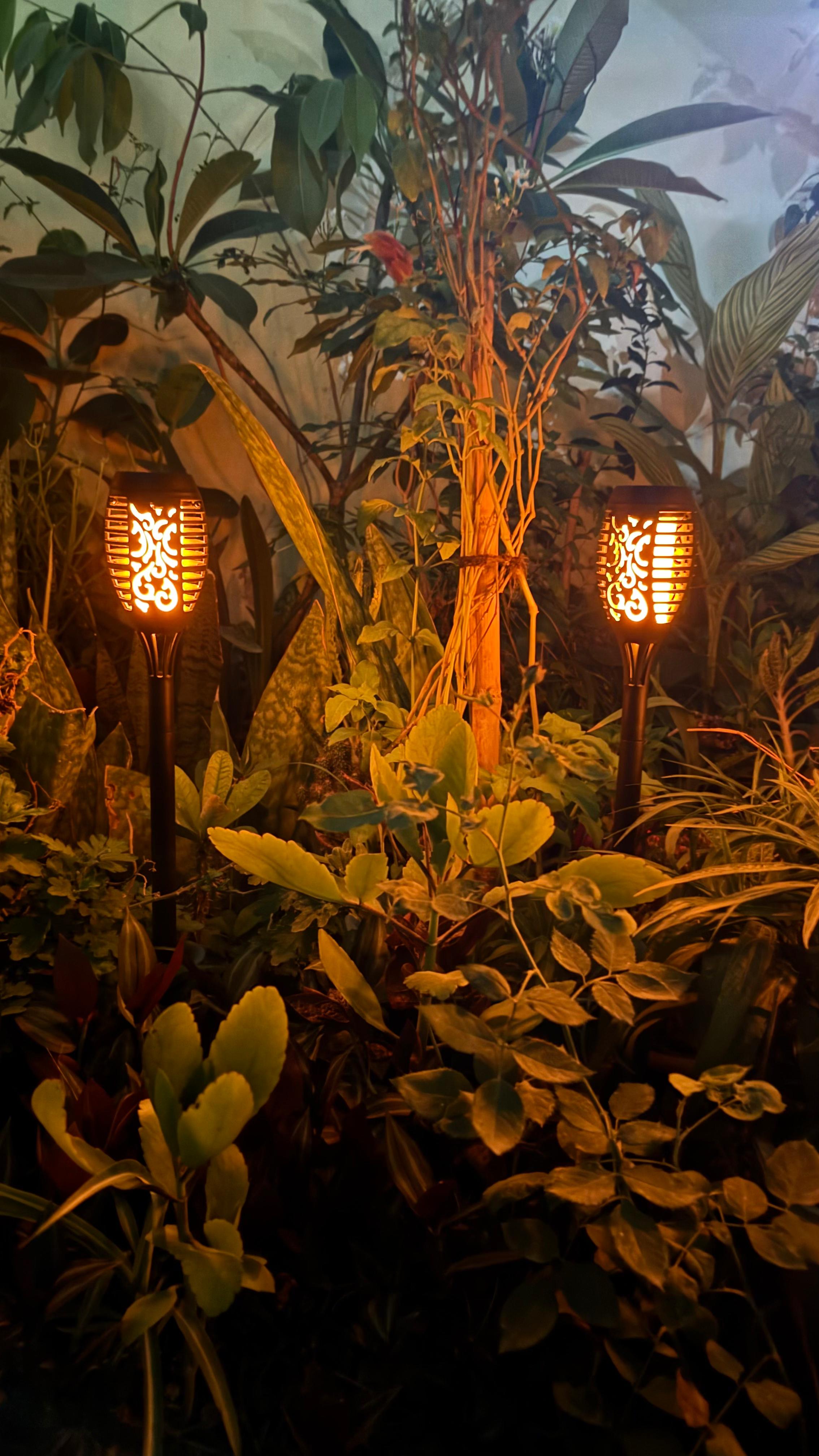 Solar Flame Light